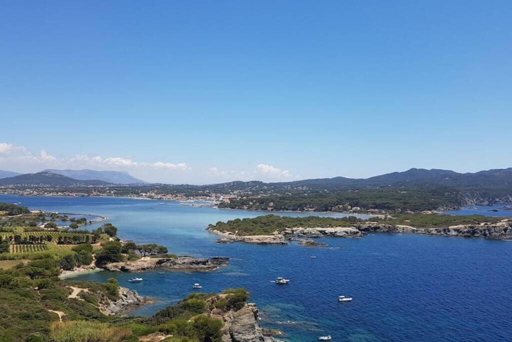 Magnifique Rez De Jardin & Piscine & Bord De Mer Διαμέρισμα Six-Fours-les-Plages Εξωτερικό φωτογραφία